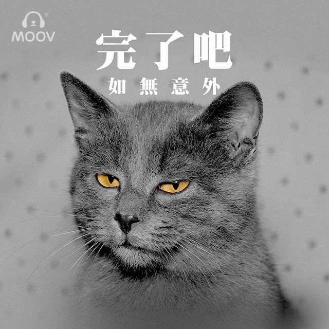 完了吧如無意外- MOOV